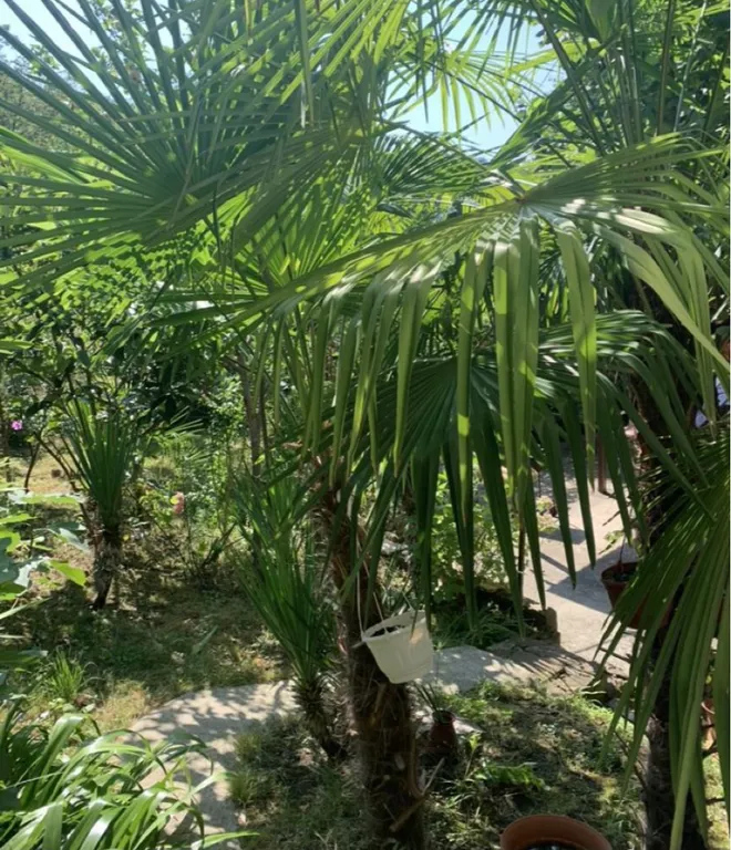 Коттедж Коттедж Голицино — Сочи