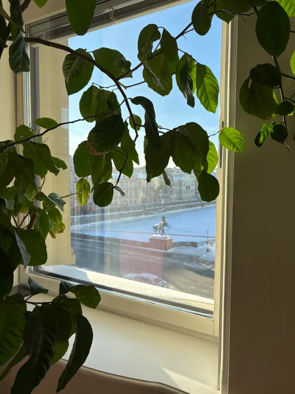 Квартира Видовая квартира в центре города — Санкт-Петербург