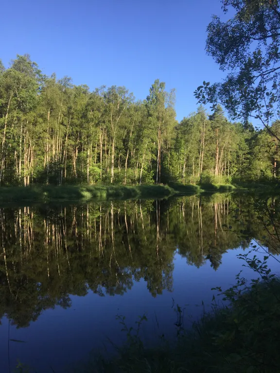 Коттедж Коттедж на Ладоге в устье реки Морье — Морье