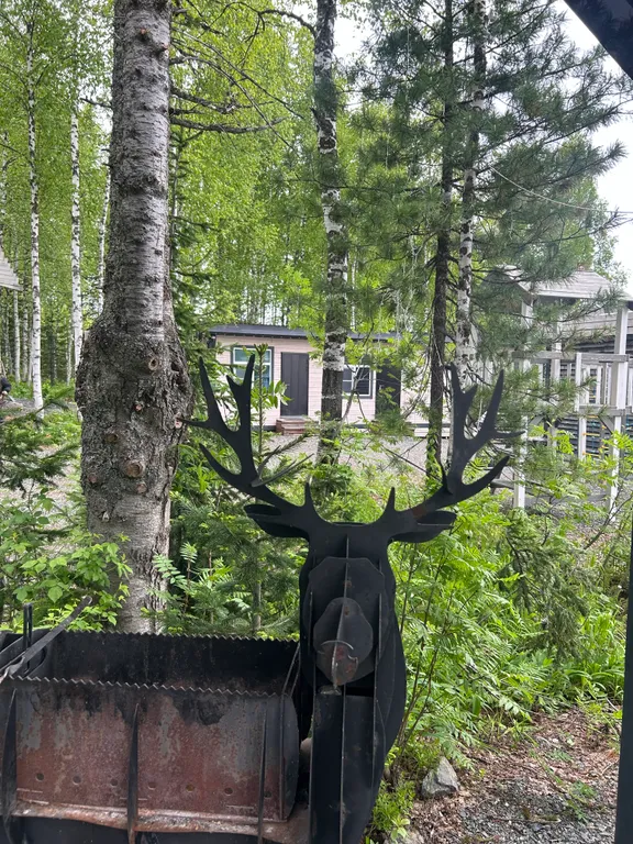 Барн хаус с видом на лес и горы