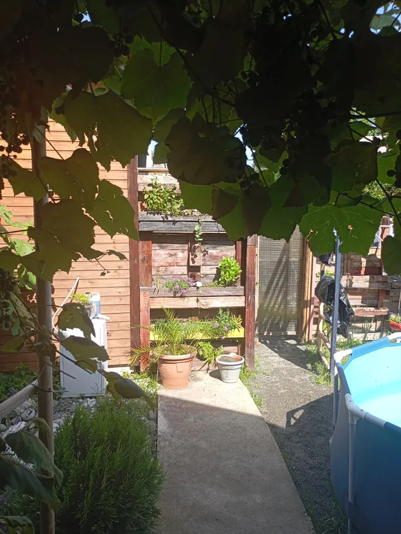 Домик в Адлере