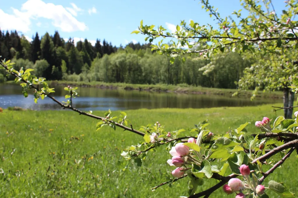 Усадьба Пядань, рыбалка
