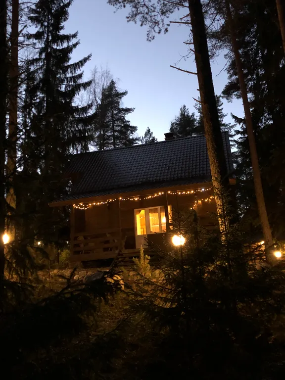 Коттедж Карельская Дача Уютное шале с камином в сосновом бору, берег Сямозера — аренда посуточно в Алекка