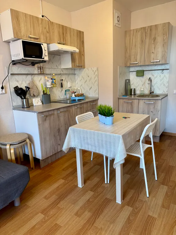 Квартира Студия на высоте птичьего полета — аренда посуточно в Парголово