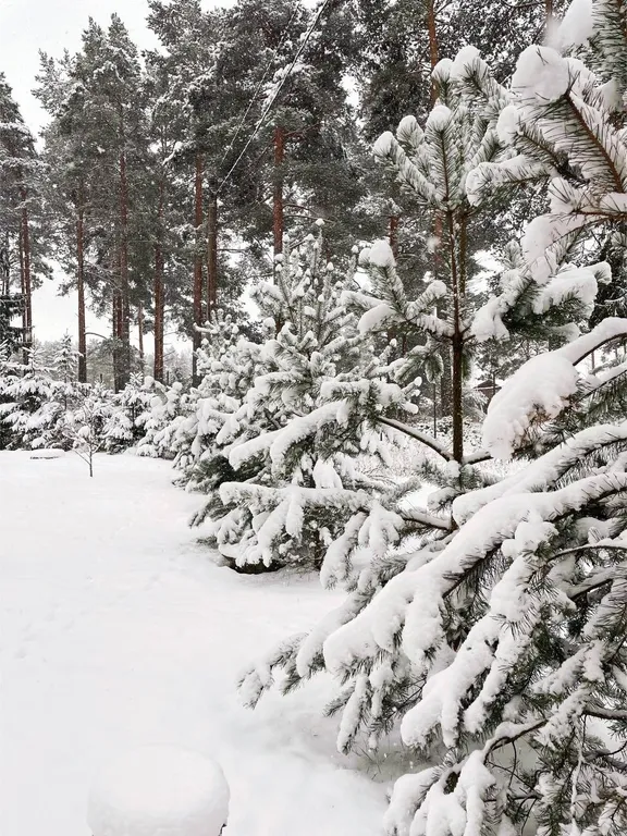 Коттедж в 100 метрах от озера