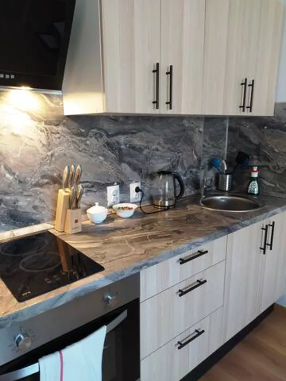 Квартира Квартира Уютная светлая студия в посёлкеПесочный — Песочный