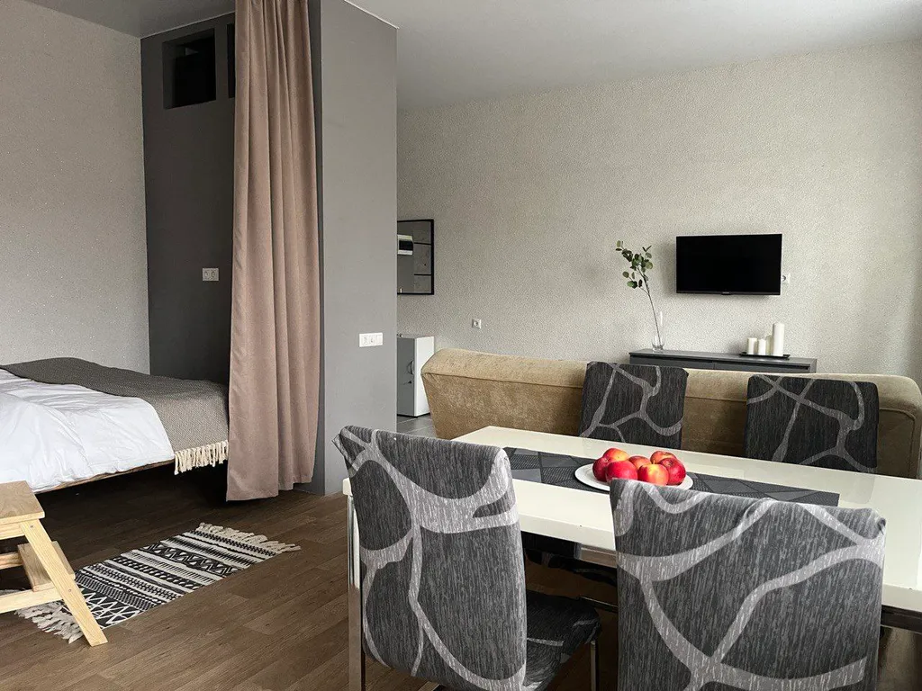 Квартира Уютная студия у кинотеатра Спартак — Воронеж