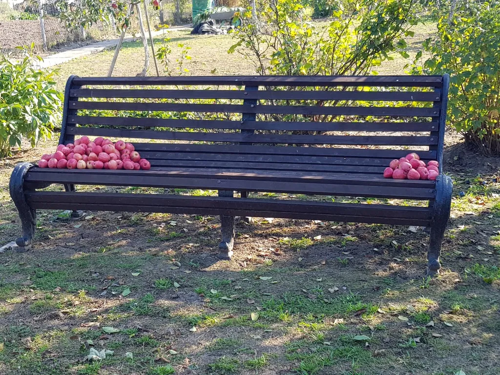 Уютный домик с видом на музей