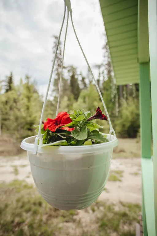 Уютный домик в лесу