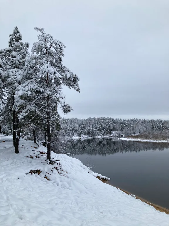 Уютный лесной домик со всеми удобствами