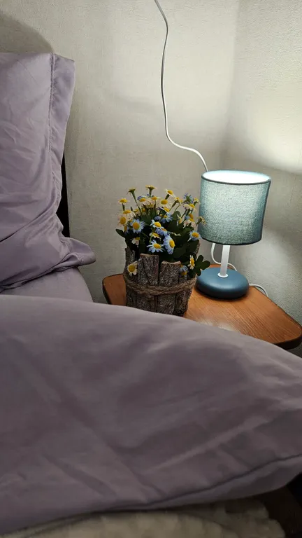 Чистая уютная квартира от детского врача