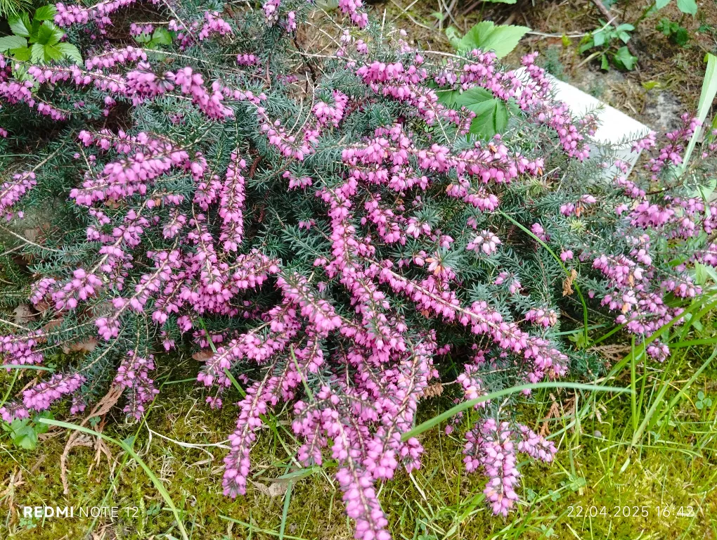 Мечта туриста