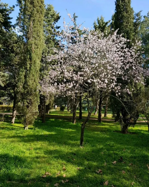 Отличная видовая квартира с современным ремонтом в парке возле пляжа