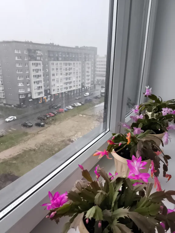Квартира Двухкомнатная квартира на Сельме — Калининград