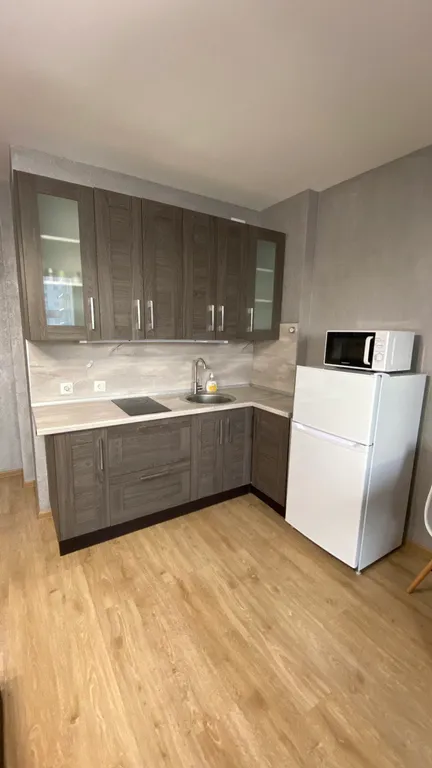 Квартира Квартира Студия у метро Ладожская для 2+1 гостей — Санкт-Петербург