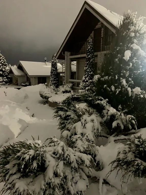 Коттедж 2-комнатный Дом — Богослово