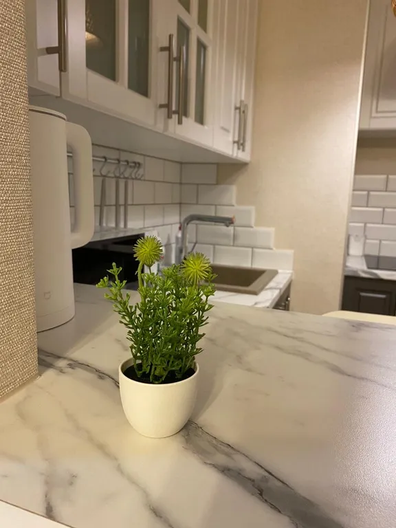 Уютная студия на высоте птичьего полёта