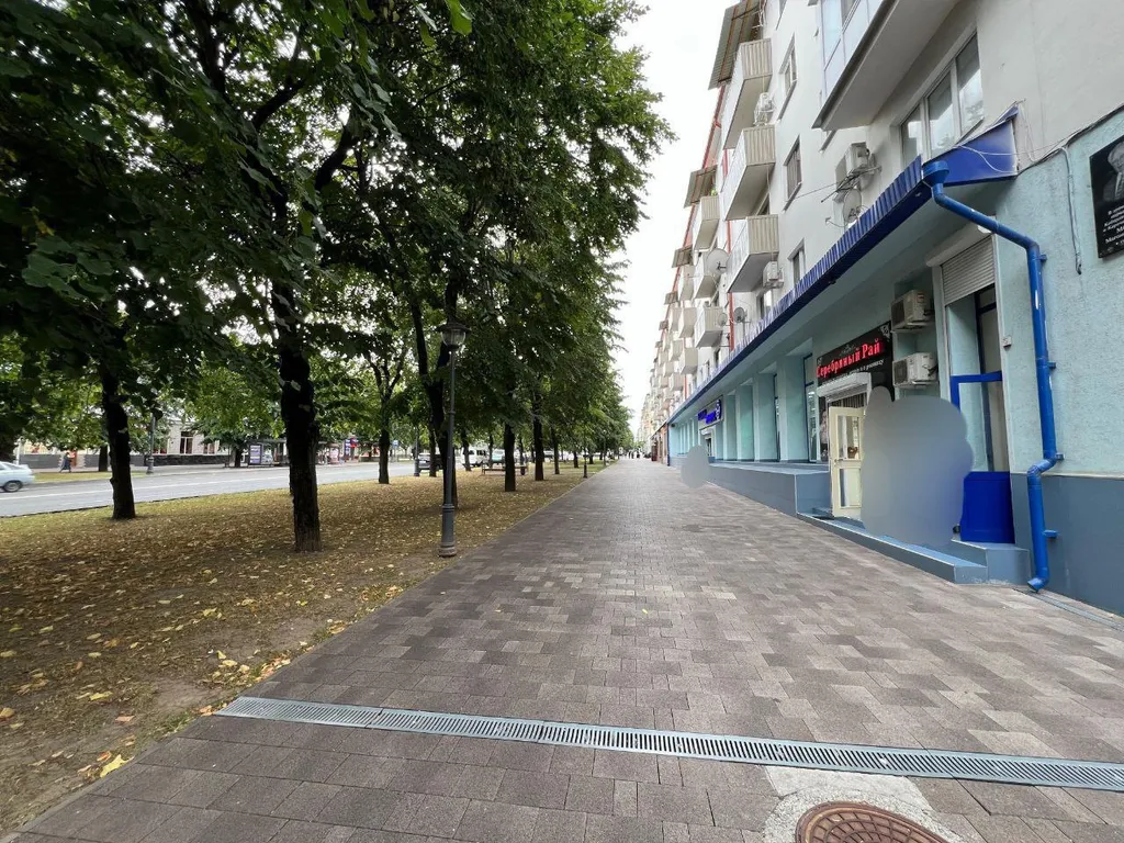 Квартира в самом центре в 5 минутах от парка