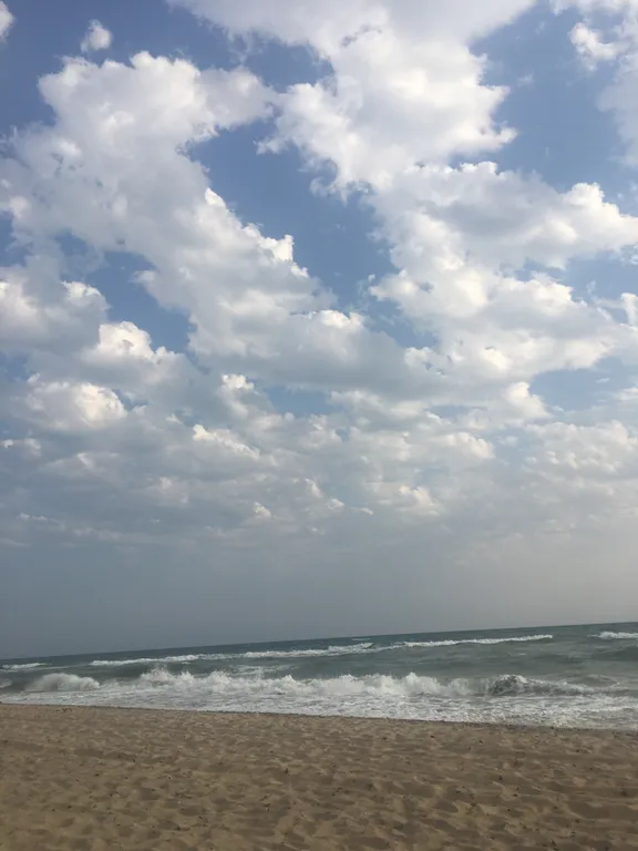 Апартаменты с видом на море Негрустинка