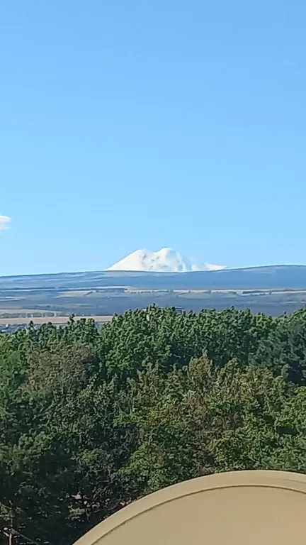 Большая квартира в Курортной зоне