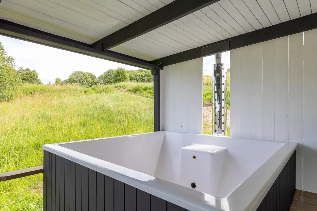 Wow Dacha Астра