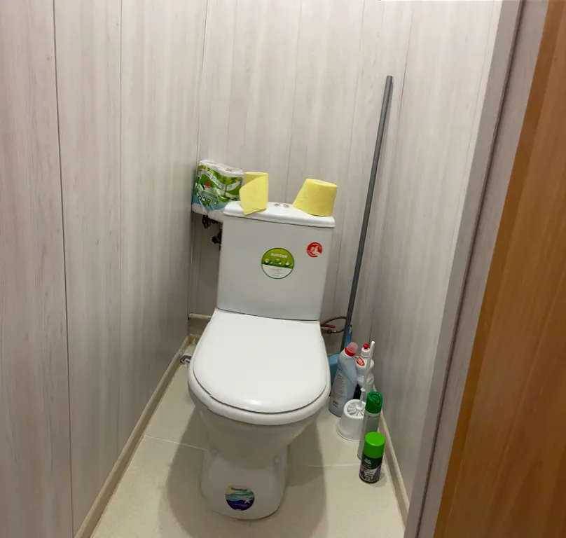 Дубки четырехместные напротив универа