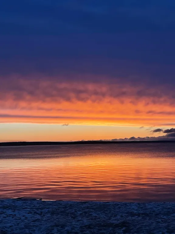 Уютный дом с живописным видом на лес