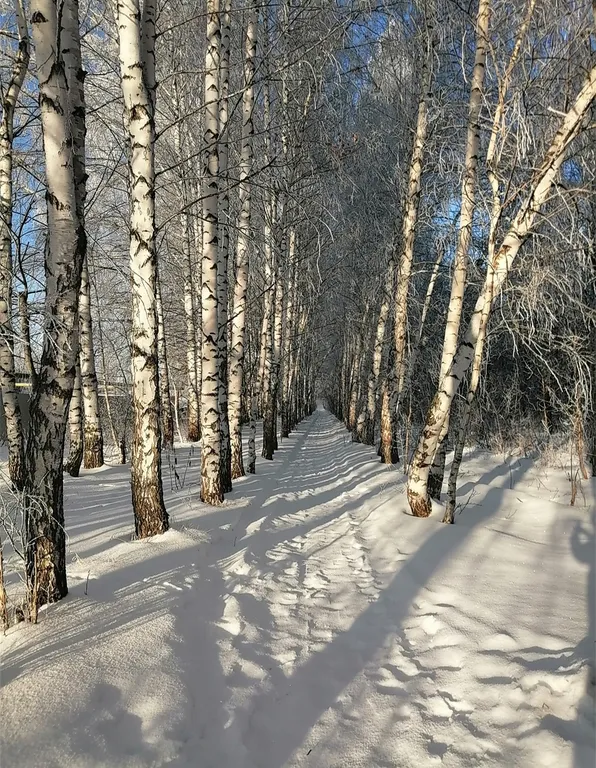 Этаж в доме в курортной зоне 100 квадратных метров