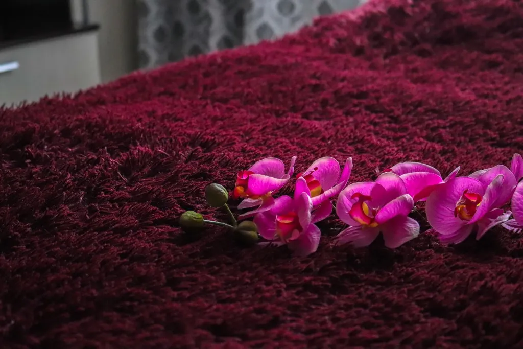 Квартира рядом с парком бесконтактное заселение