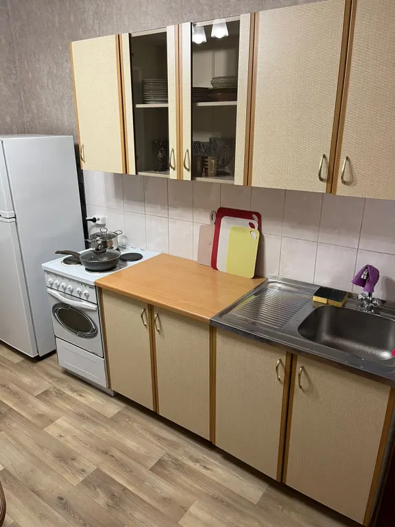 Просторная однокомнатная квартира