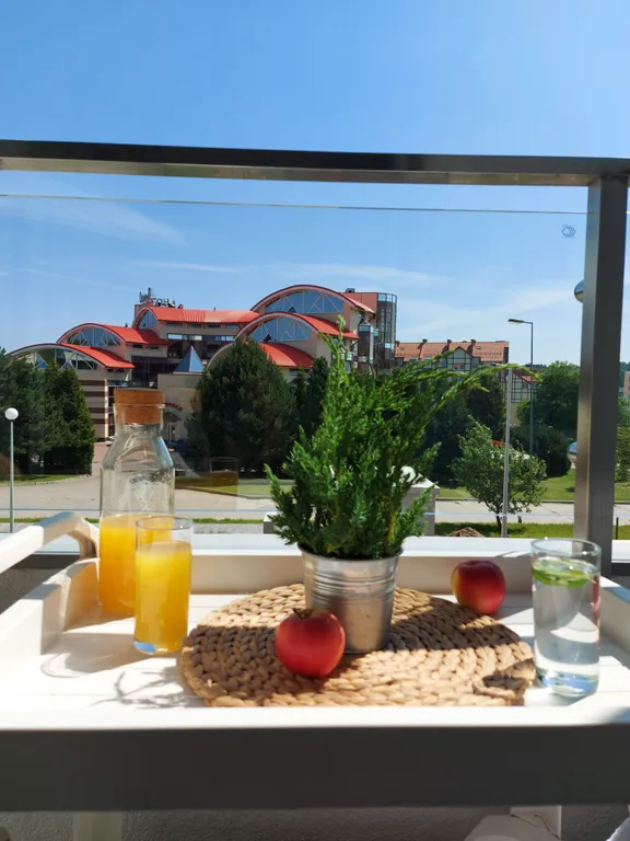 Квартира Апартамент я в отпуске — аренда посуточно в Светлогорск