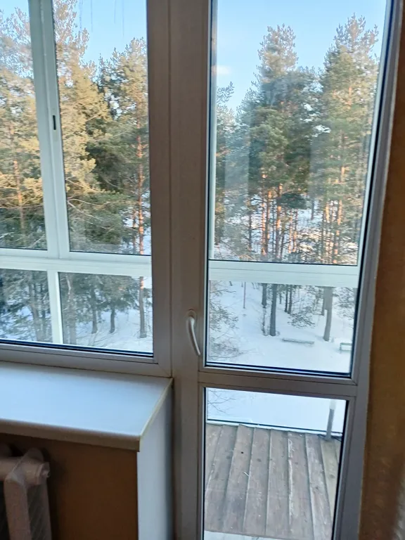 С видом на лес