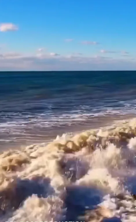 Квартира с балконом у моря