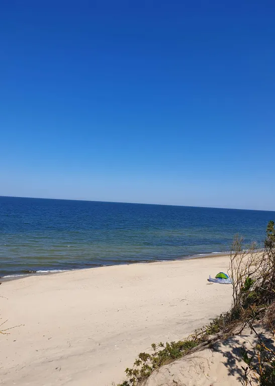 Квартира Квартира Апартамент Summer — Светлогорск