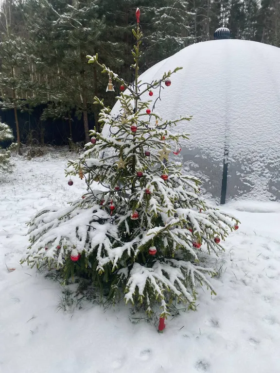 Гостевой дом рыбака с русской баней и банным чаном на терр-и минибазы