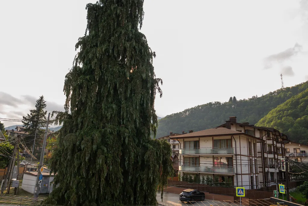 Green berg Апартамент