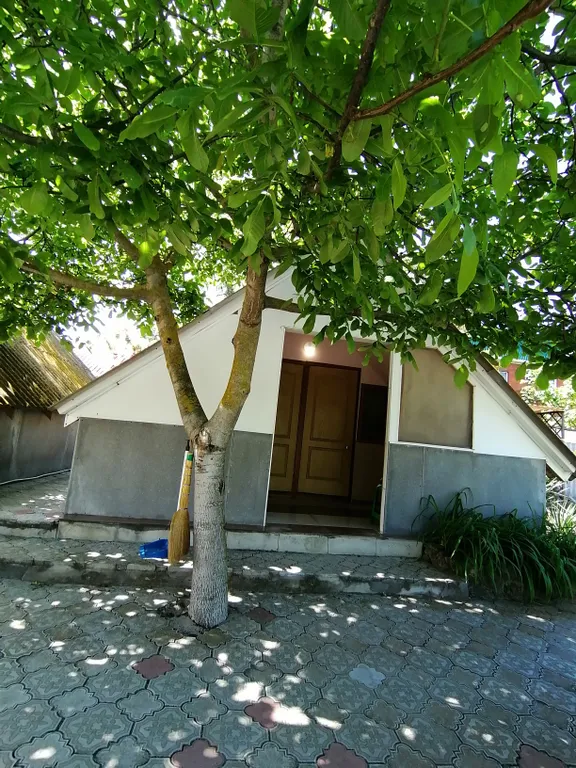 Коттедж Дом на море — Голубицкая