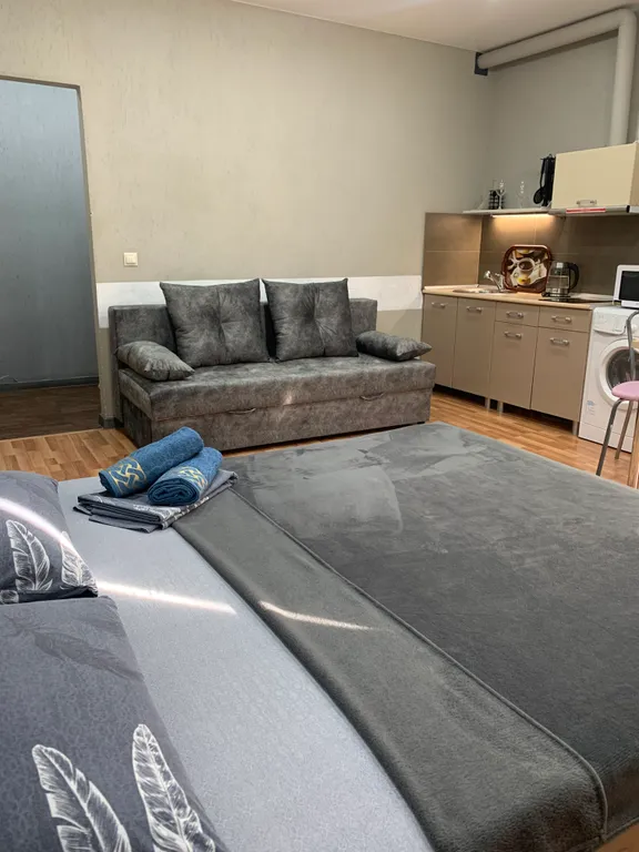 Прекрасная студия в центре , ЖД, Вояж