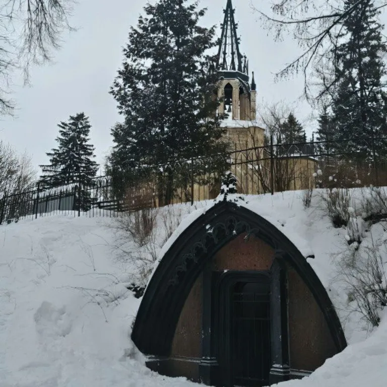 Студия Скандинавский лес с видом на Шуваловский парк