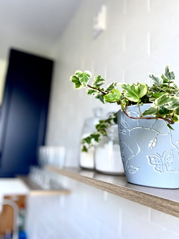 Квартира с красивым видом на сквер