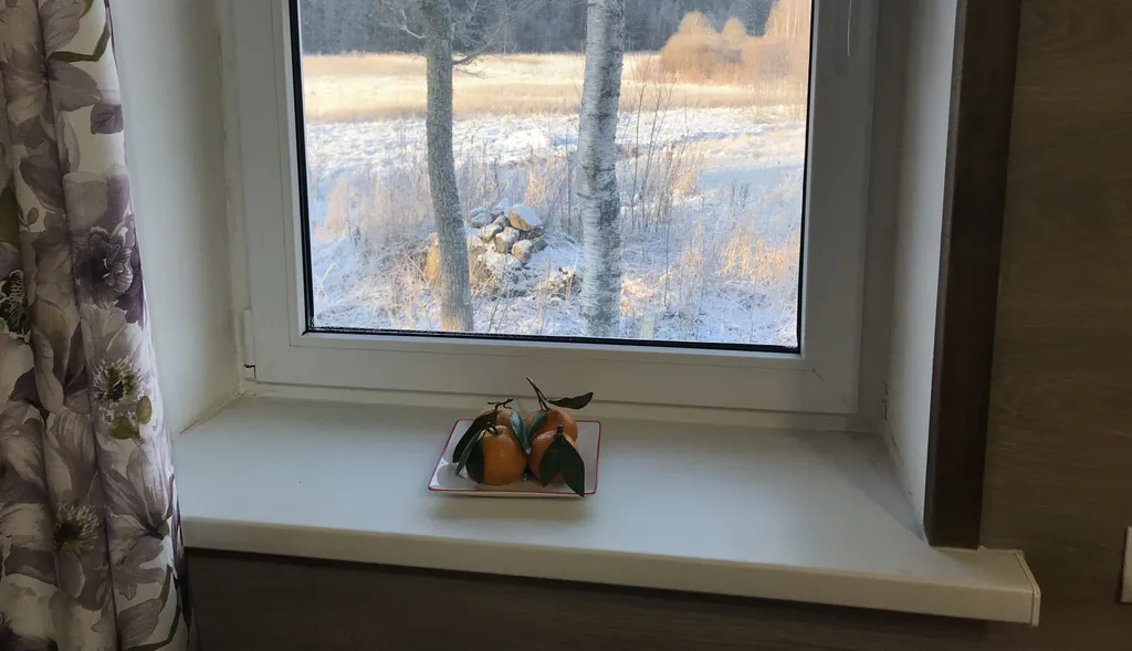 Загородный дом в лесу вблизи залива