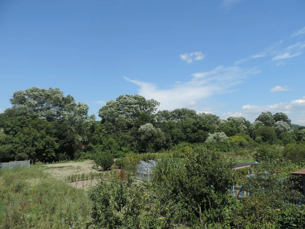 Дом возле Кипарисового озера