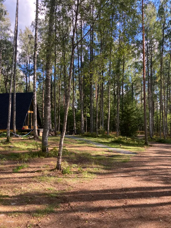 Руна Леса Карелия