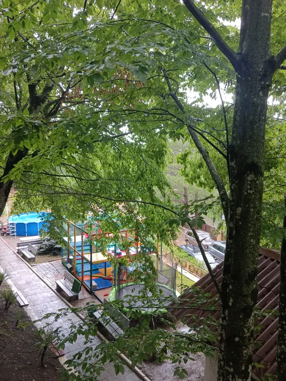 Двухместный эконом +1