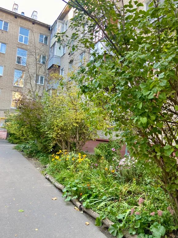 Квартира в центре между музеем имени Бурылина и ТЦ Серебряный город