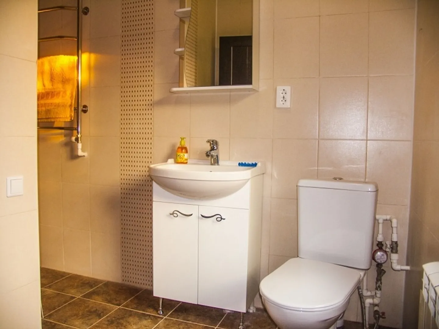 Санузел оборудован унитазом, раковиной, мебелью для ванной комнаты. В санузле установлен душ.