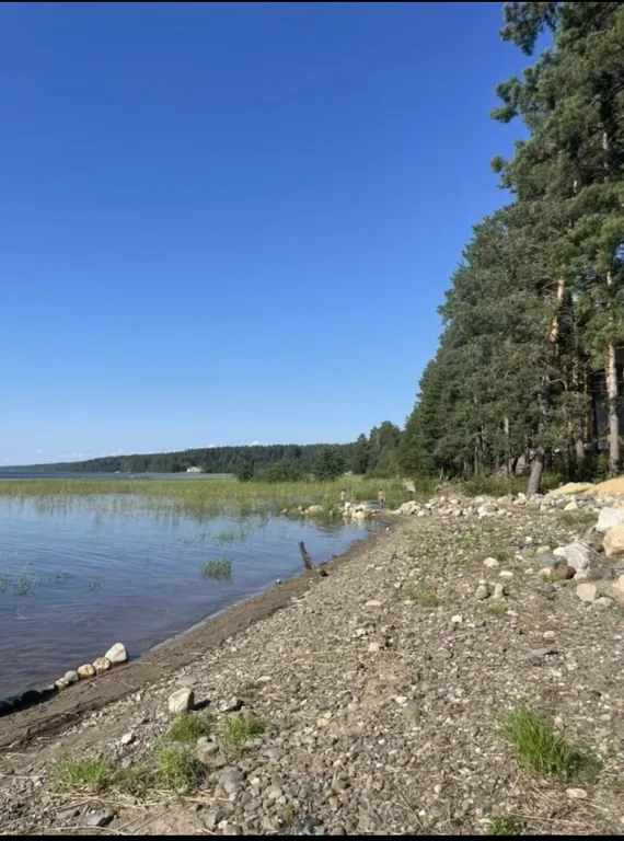 Гостевой дом для 2-6 человек с крытой террасой и мангалом