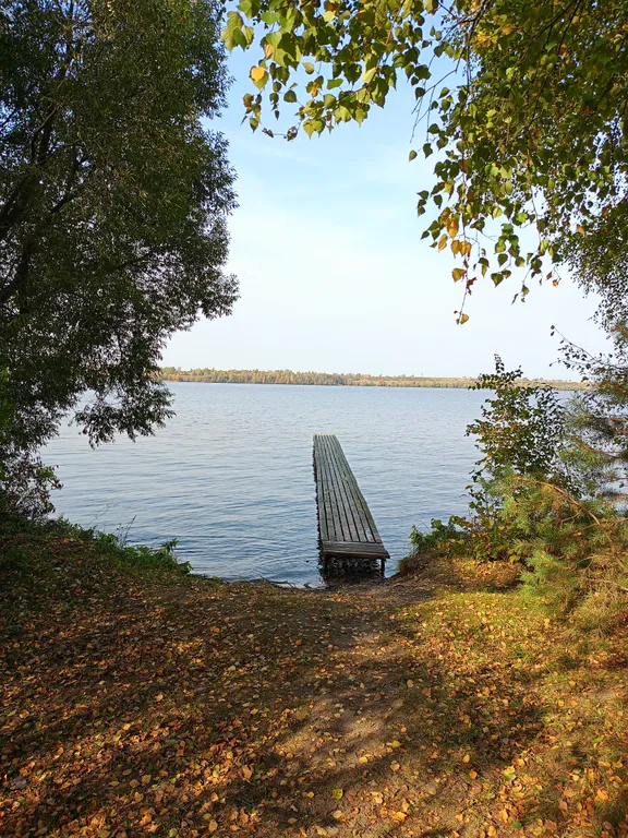 Дом на берегу реки Волга