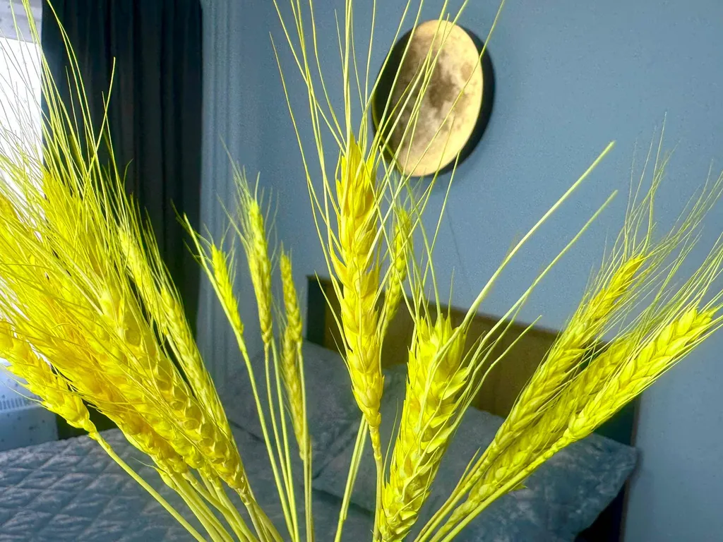 Квартира в новом районе — аренда посуточно в Обнинск