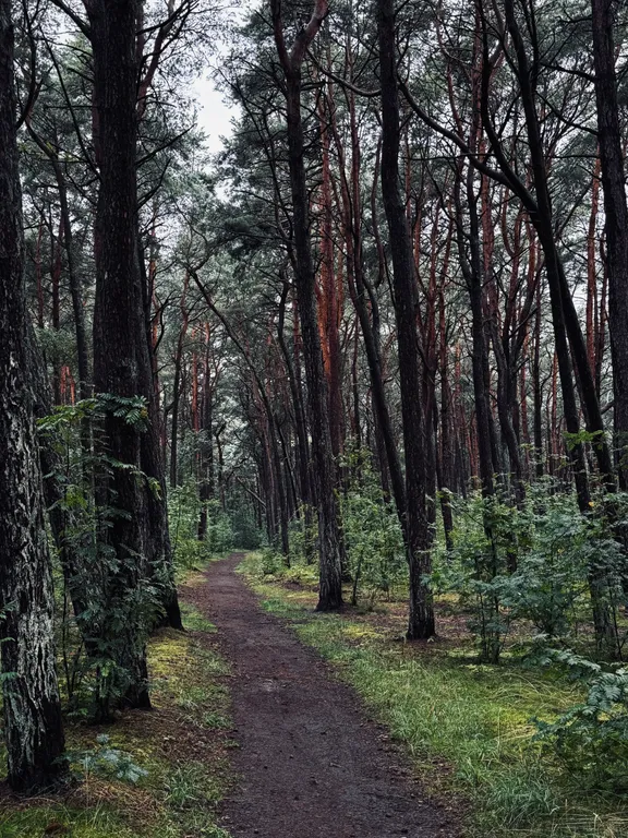 Апартаменты «Дом, где шепчет море»